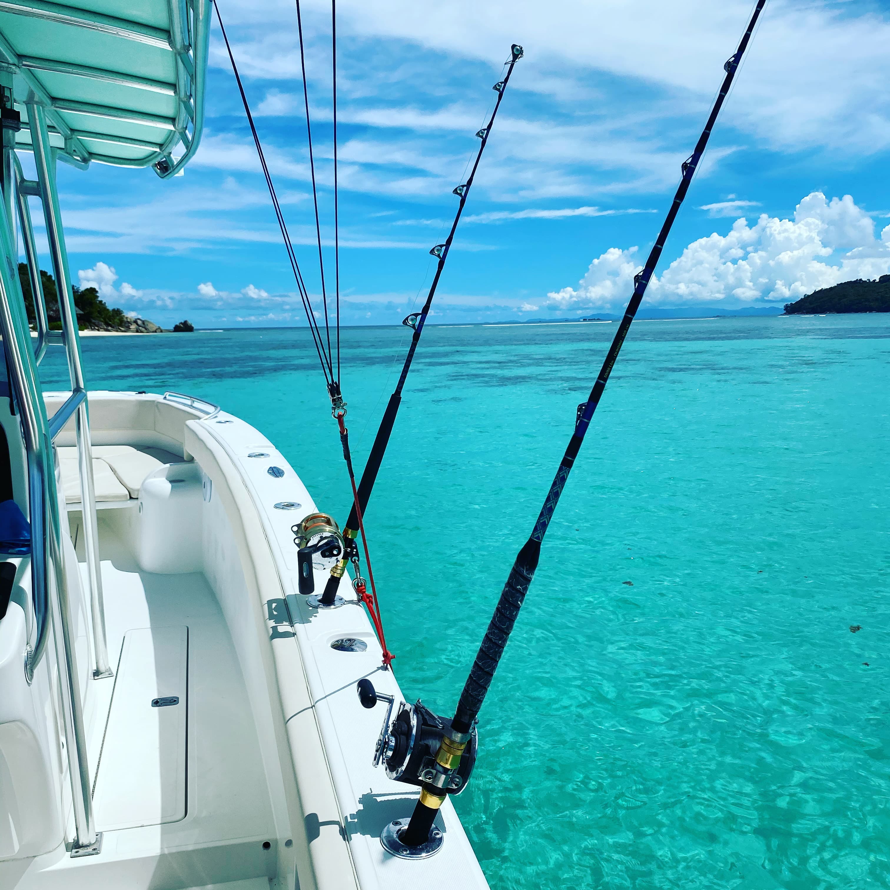 half day snorkeling